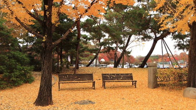 고흥군, '제8회 나로도 청정 수산물축제' 6월 13일 개막